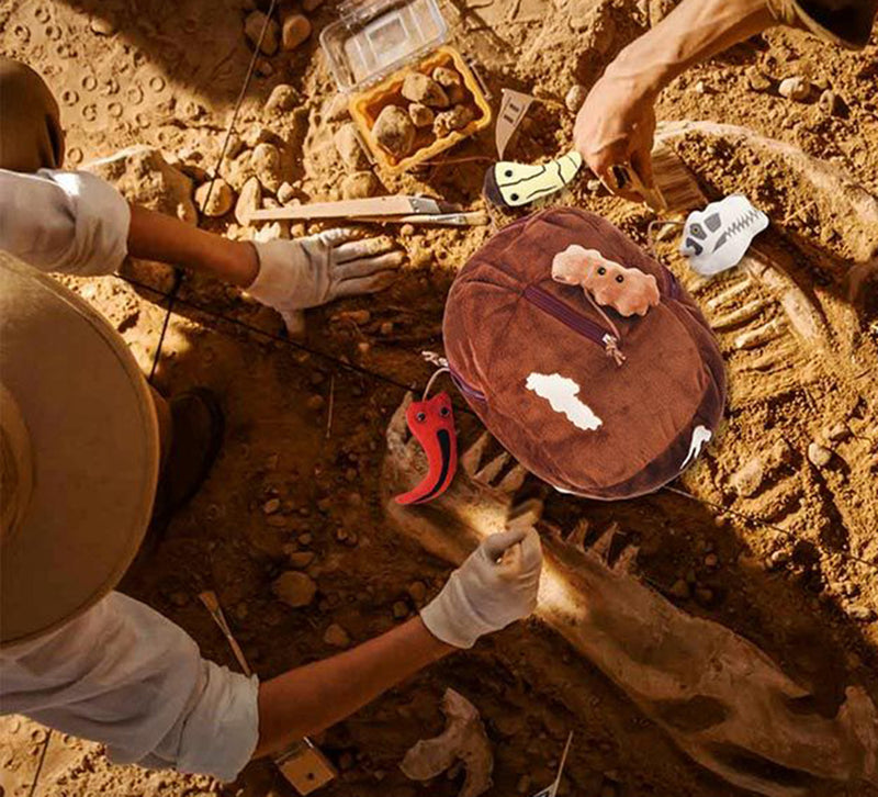 T. rex Fossil Dig in dirt