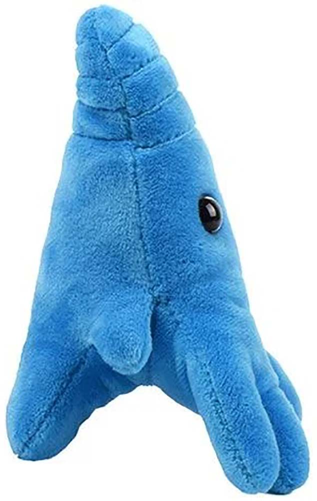 Giant Microbes Plush - Amoeba (Amoeba Proteus) side