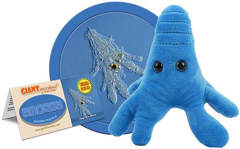 Giant Microbes Plush - Amoeba (Amoeba Proteus)