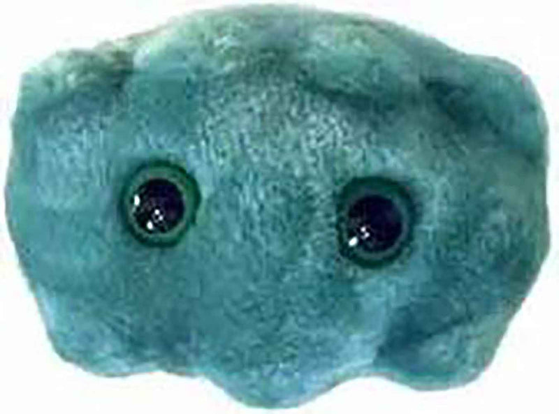 Giant Microbes Plush - Bad Breath (Porphyromonas Gingivalis) close up