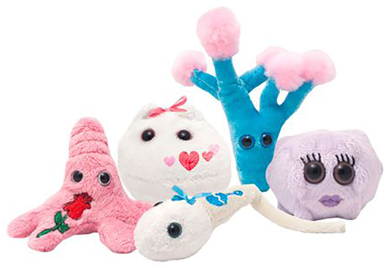 GIANTmicrobes Plush - Heart Warming Mini Microbe Box look inside