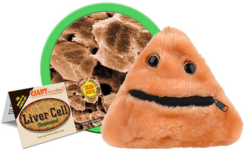 Giant Microbes Plush - Liver Disease (Cirrhosis)