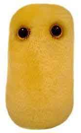 Giant Microbes Plush - Cough (Bordetella Pertussis)