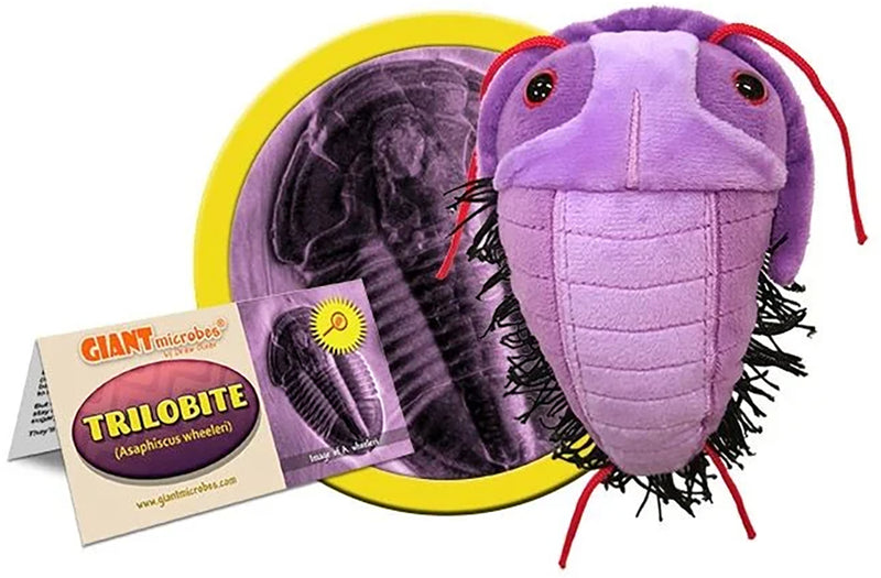 Giant Microbes Plush - Trilobite (Asaphiscus Wheeleri) packaged