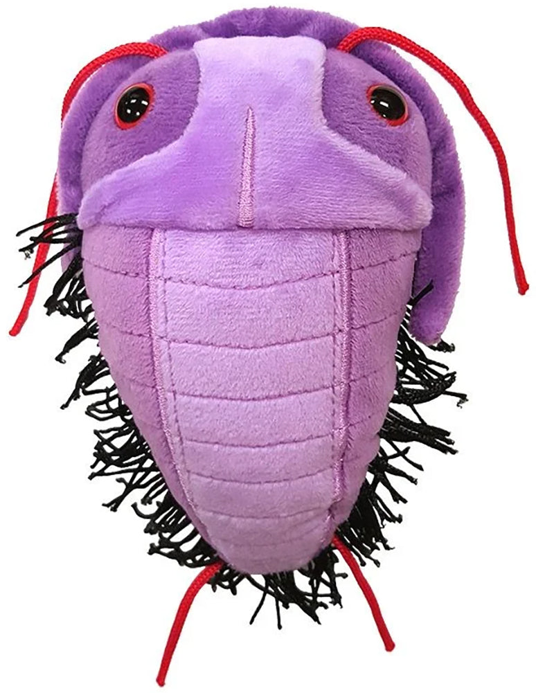 Giant Microbes Plush - Trilobite (Asaphiscus Wheeleri)