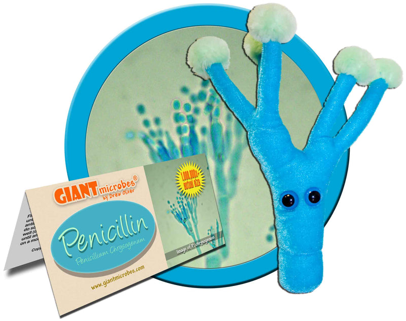 Giant Microbes Plush - Penicillin (Penicillium Chrysogenum)