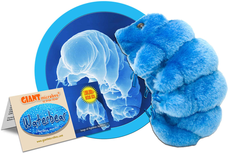 Giant Microbes Plush - Waterbear (Tardigrade)